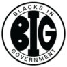 BLACKS IN GOVERNMENT REGION V